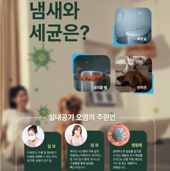 Pungryu Daejang ion air purifiers